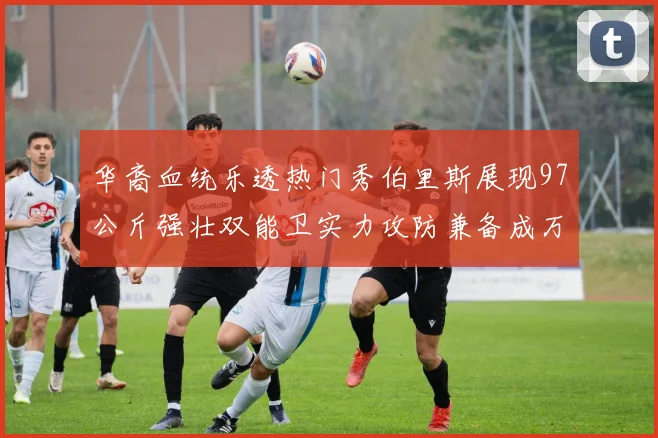 华裔血统乐透热门秀伯里斯展现97公斤强壮双能卫实力攻防兼备成万金油之选