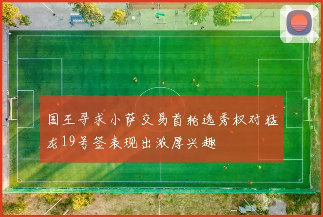 国王寻求小萨交易首轮选秀权对猛龙19号签表现出浓厚兴趣